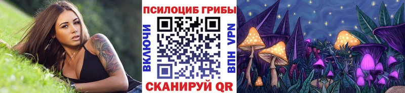 даркнет сайт Королёв Псилоцибиновые грибы мухоморы